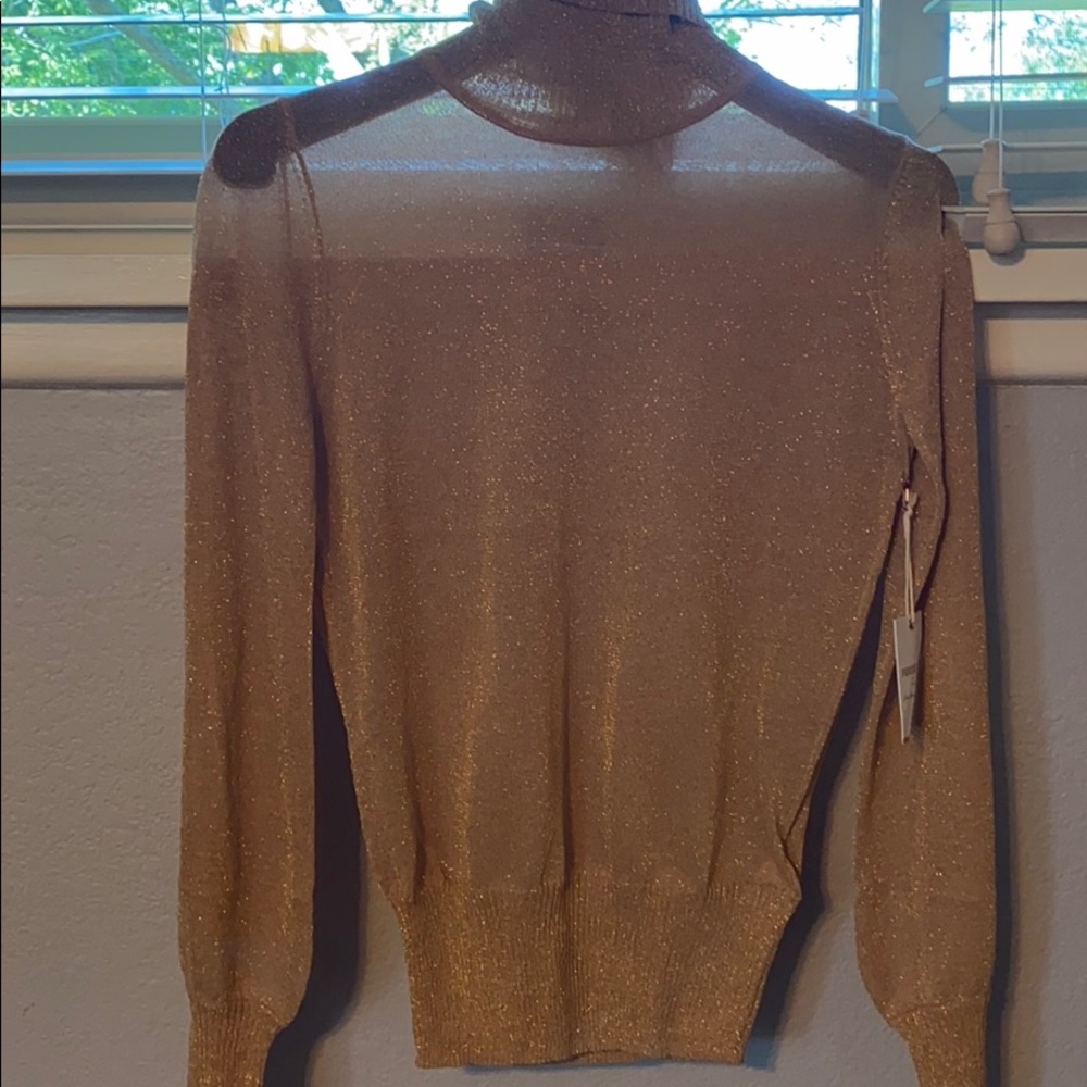 Sheer gold sparkled turtleneck